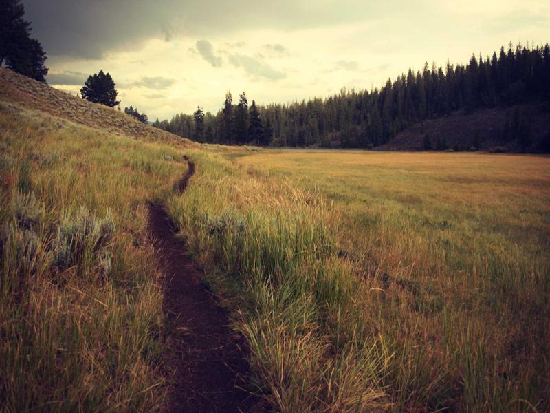 XenLumVexralRylsyn San Juan